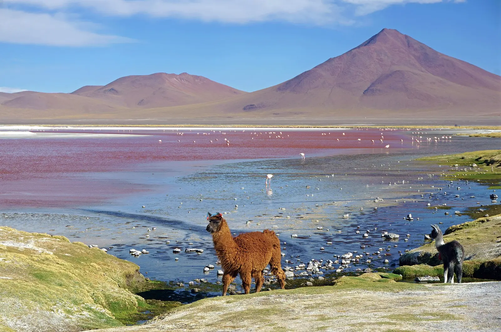 Bolivia
