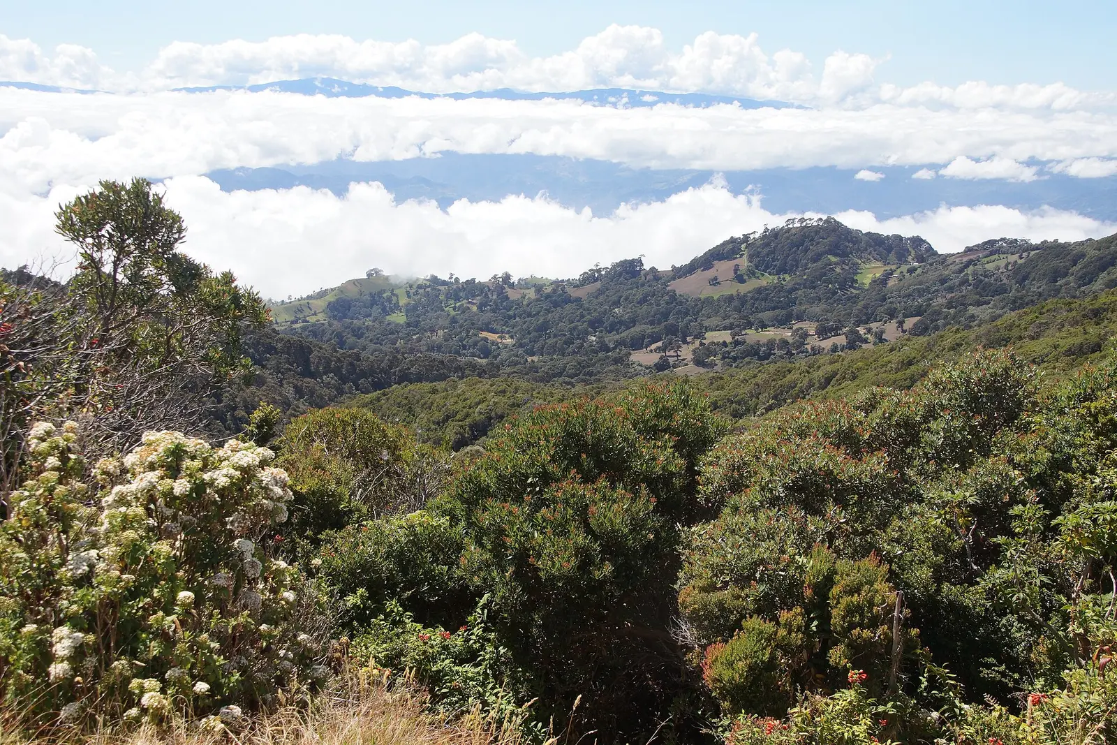 Costa Rica