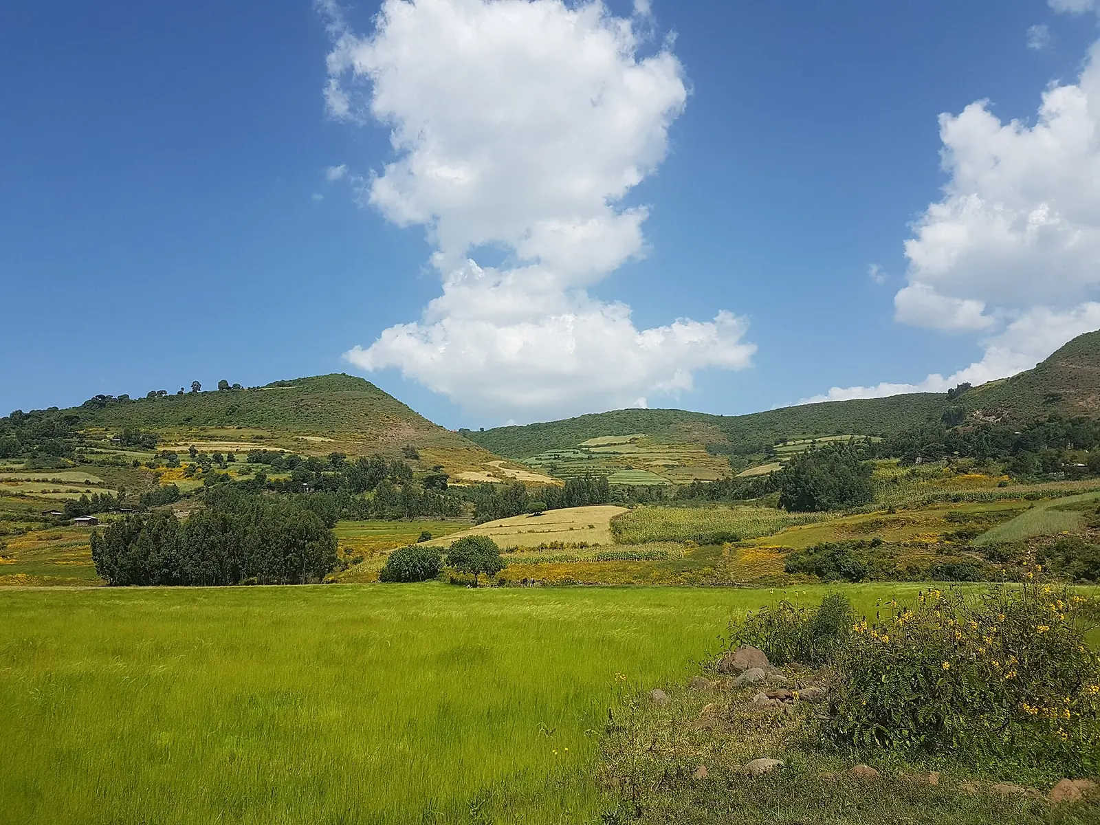 Ethiopië