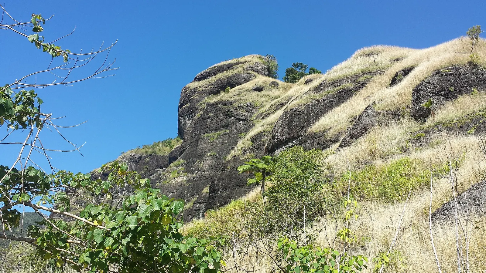 Fiji