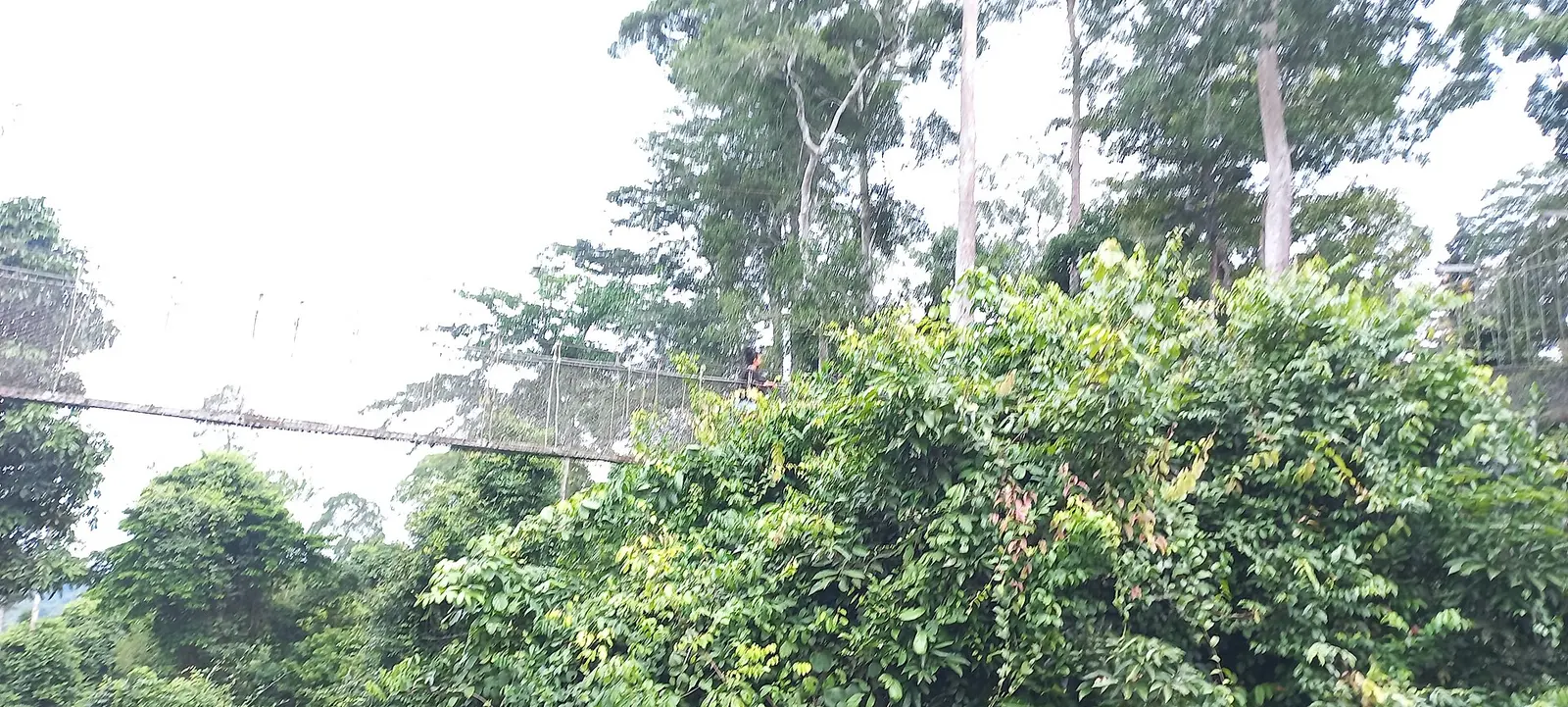 Ghana