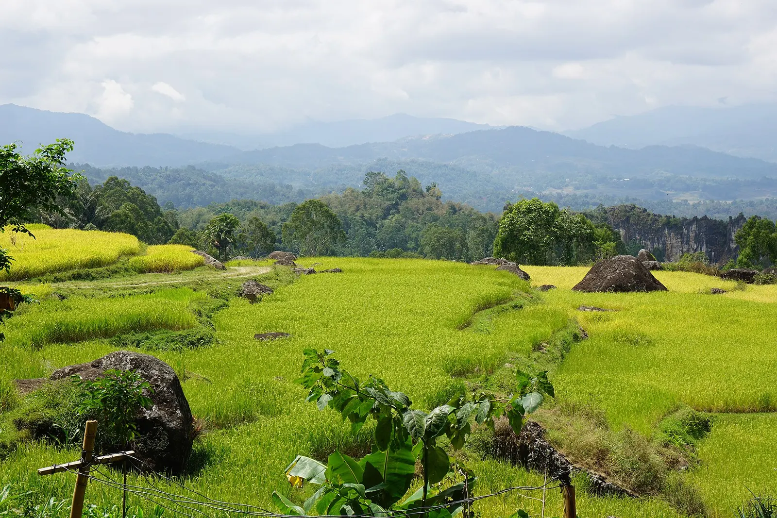 Indonesië