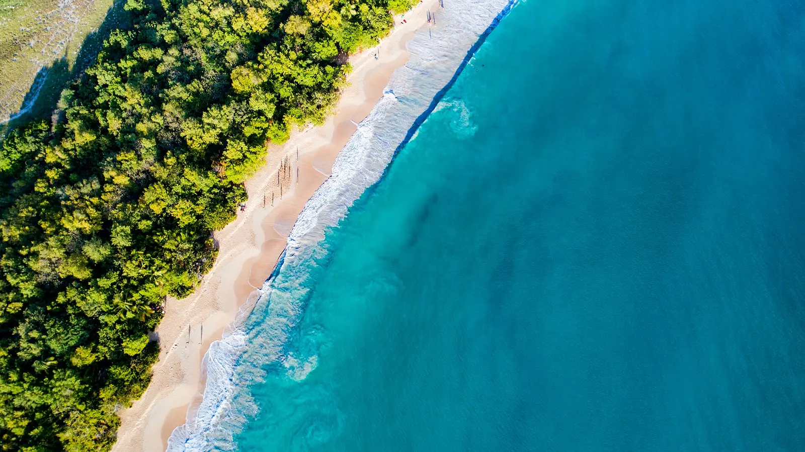 Martinique