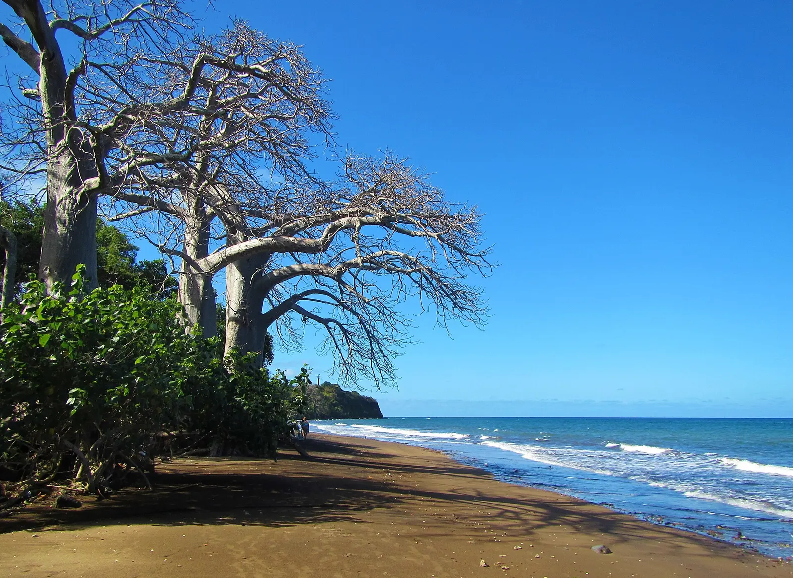 Mayotte