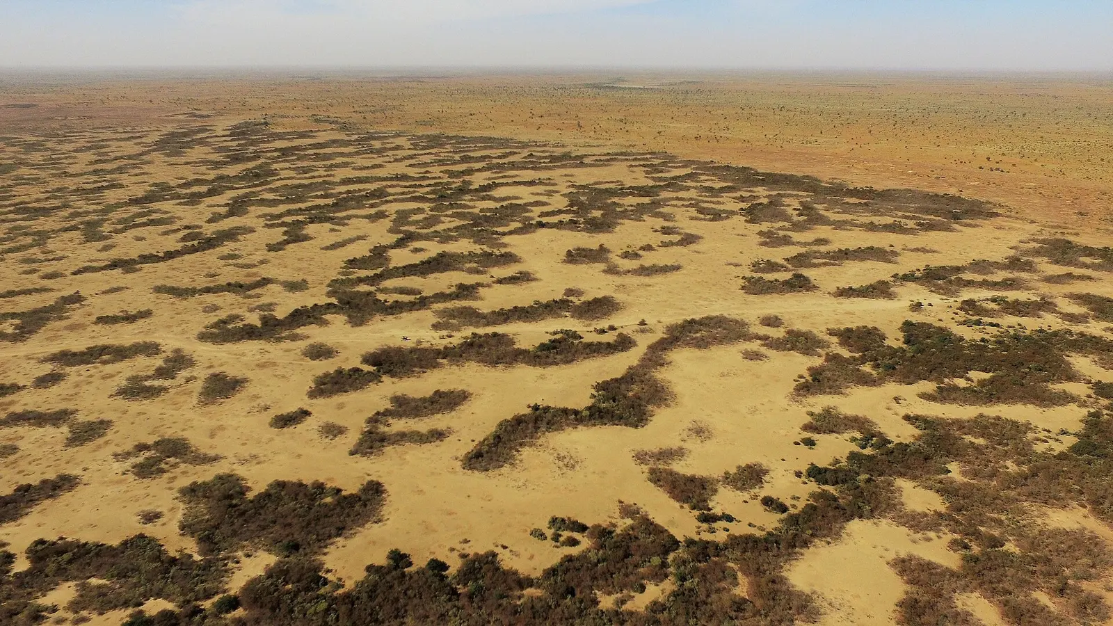 Niger