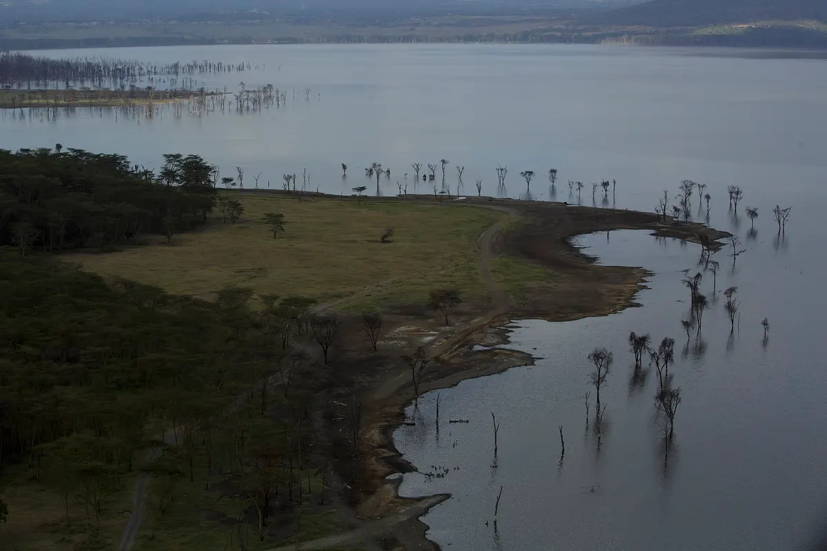 Lake Nakuru, Kenia