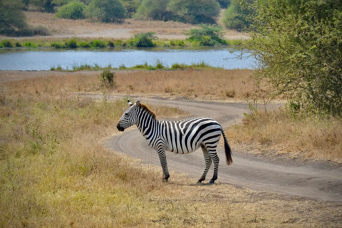 Nairobi, Kenia