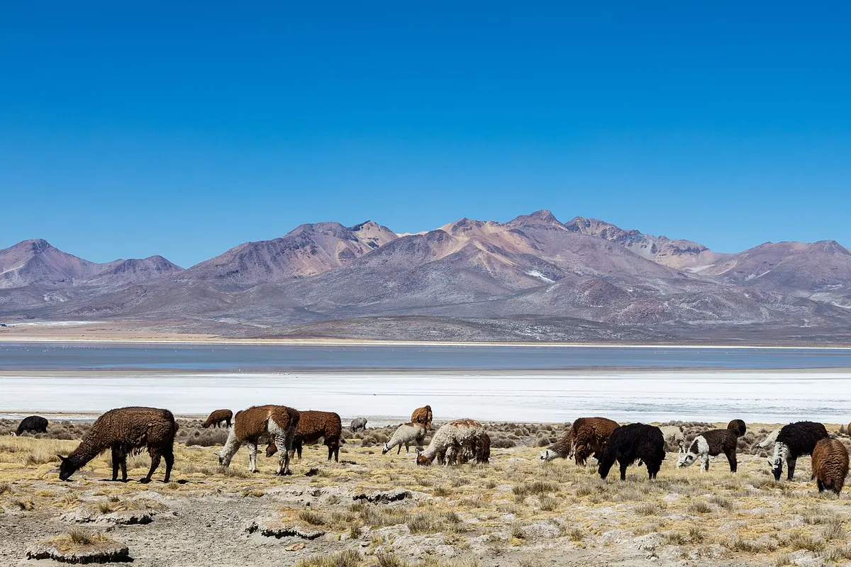 Arequipa, Peru