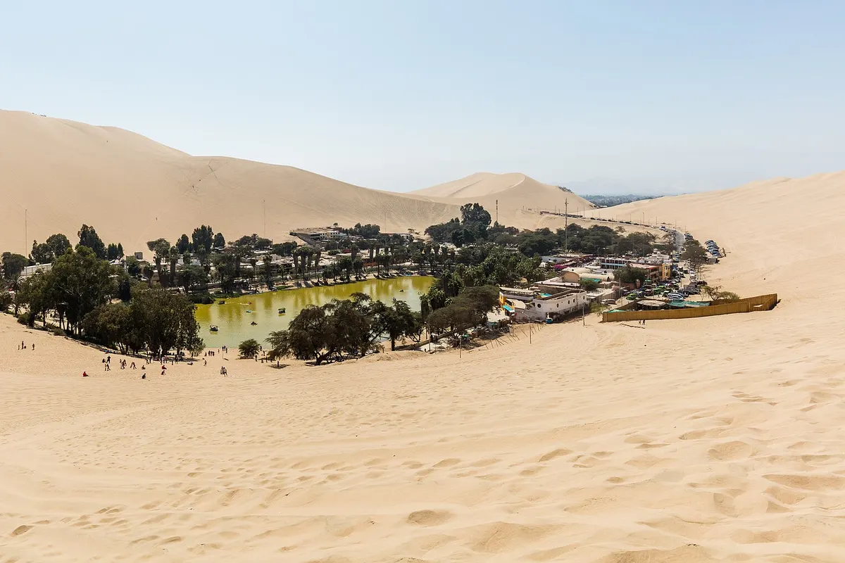 Paracas en Huacachina, Peru