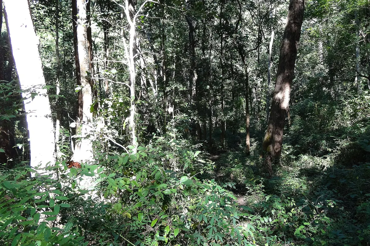 Pai, Thailand